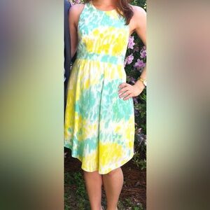 Annie Griffin Watercolor Dress